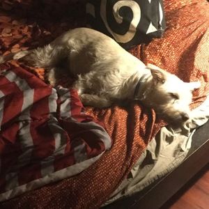 Meet your Posher, Maria